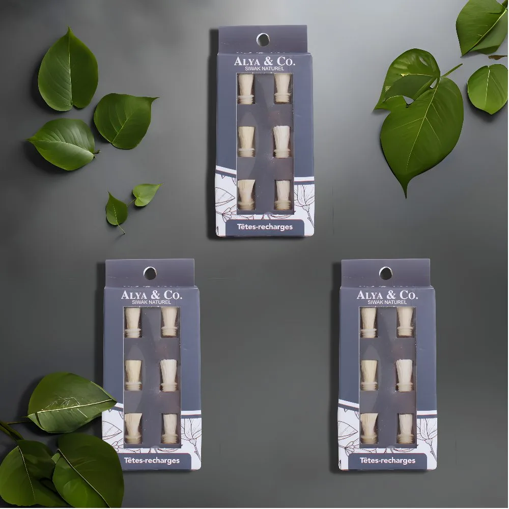 Pack Têtes-recharges Siwak X3